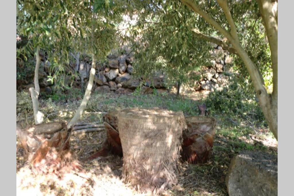 Casa Corea 2 Puntagorda Dış mekan fotoğraf