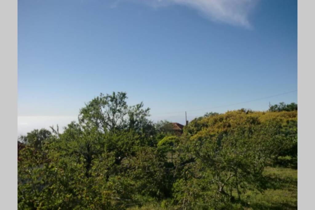 Casa Corea 2 Puntagorda Dış mekan fotoğraf